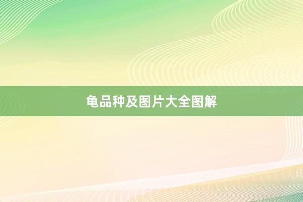 龟品种及图片大全图解