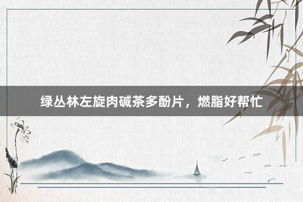 绿丛林左旋肉碱茶多酚片，燃脂好帮忙